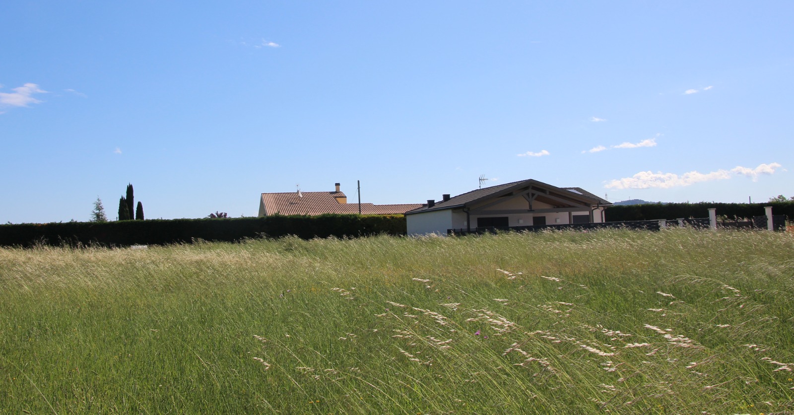 image translation effect